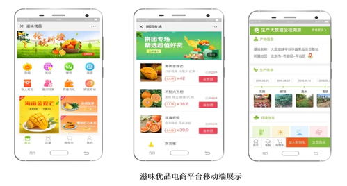 智慧农业新篇章 1.28亿元数字化服务，守护农产品安全生命线